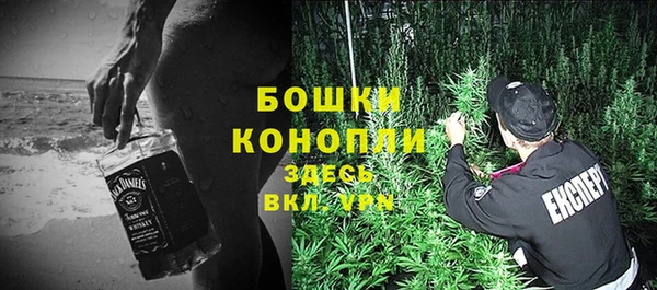 дурь Алексеевка