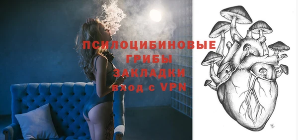 не бодяженный Алексин
